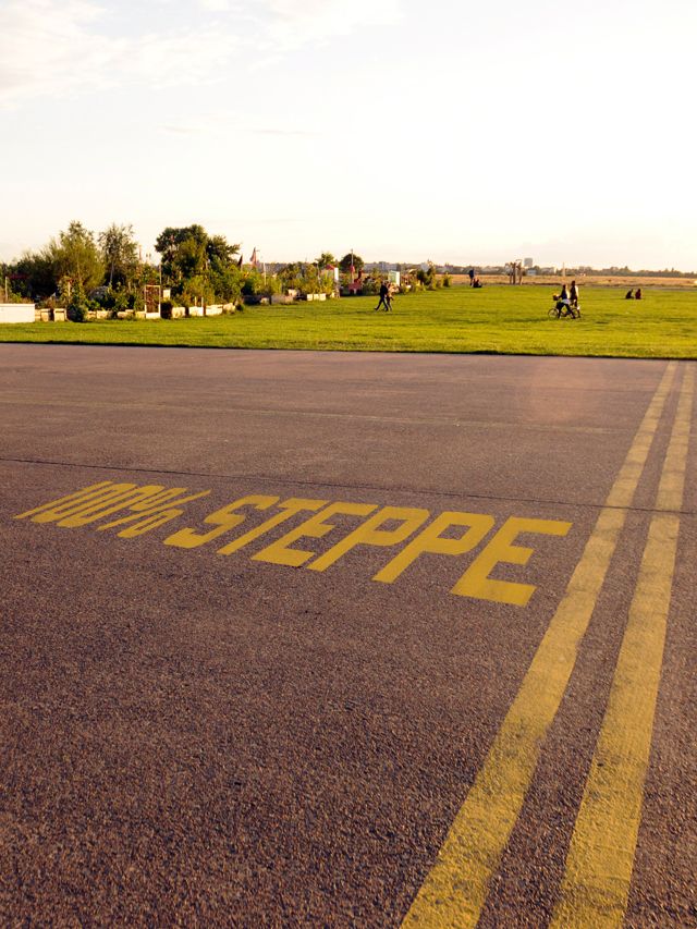 Abbildung 100%Steppe