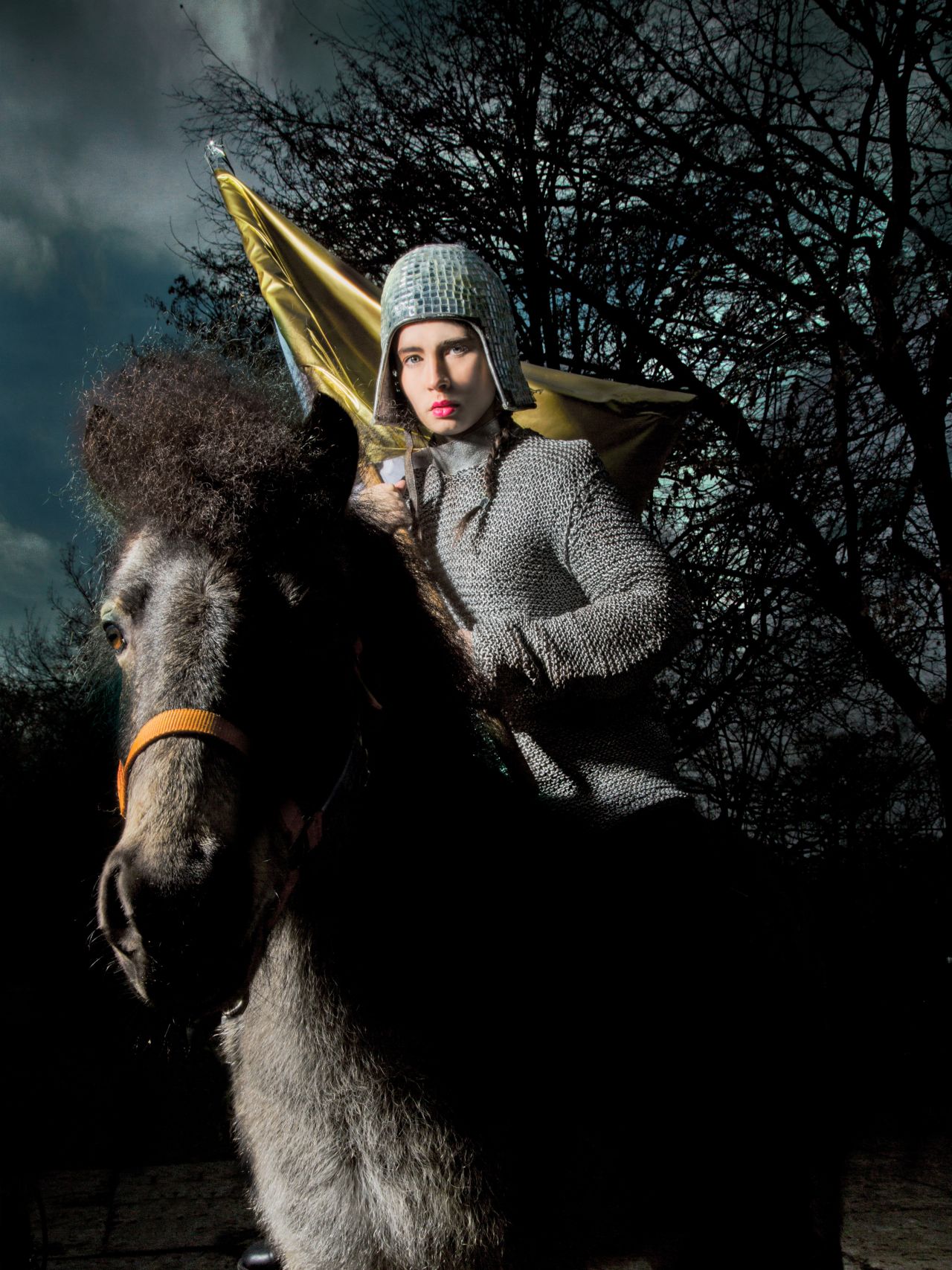 Je suis Jeanne d'Arc