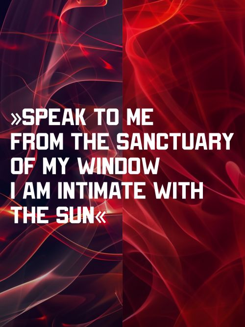 I PITY THE GARDEN